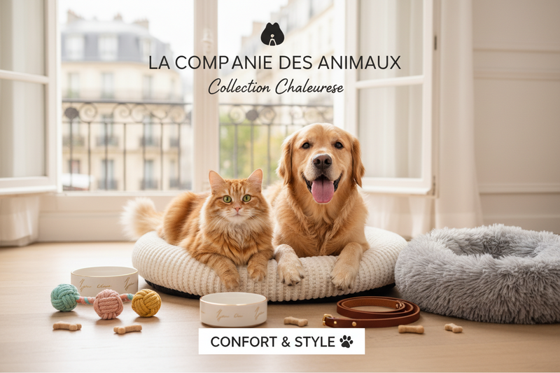 Animaux de compagnie