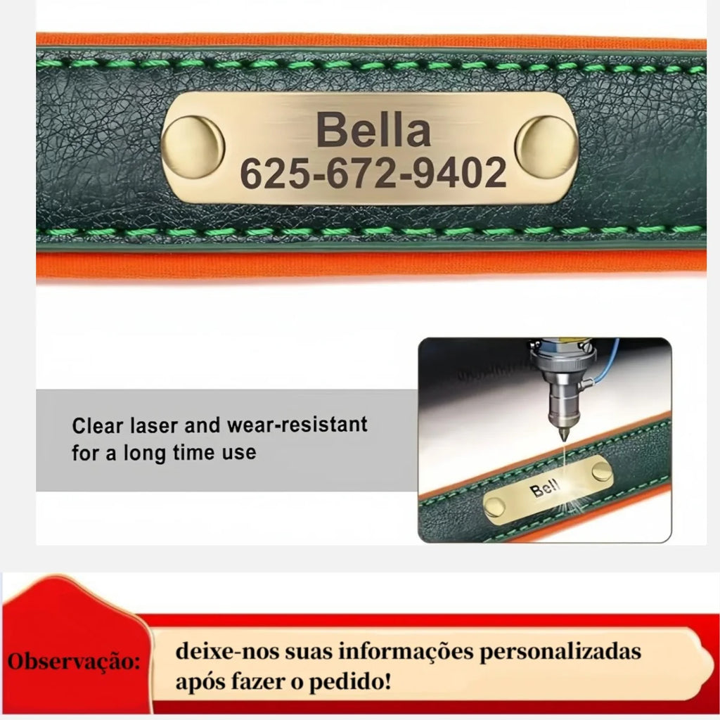 S2c22cdadc59b4f449242720f643dd487p