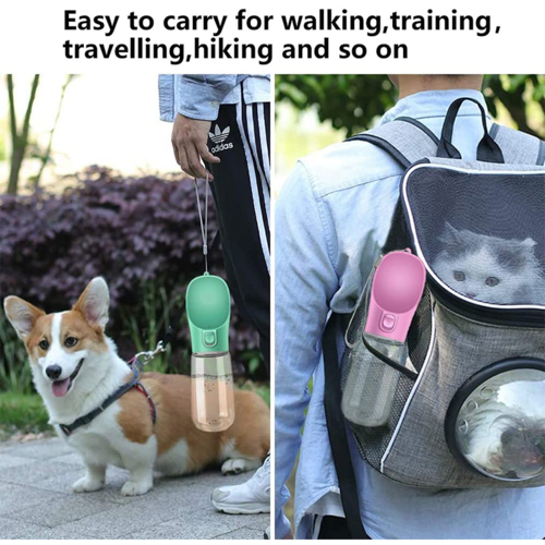 Gourde pour chien