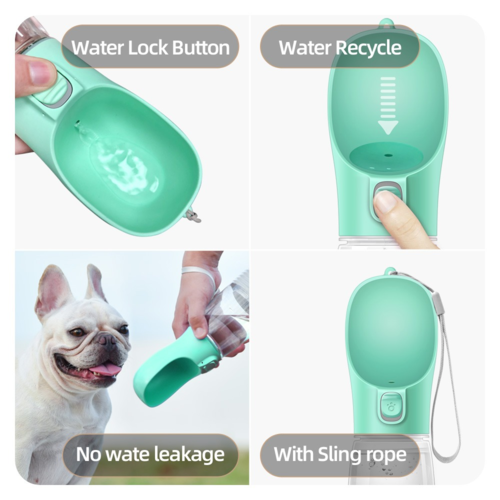 Gourde pour chien