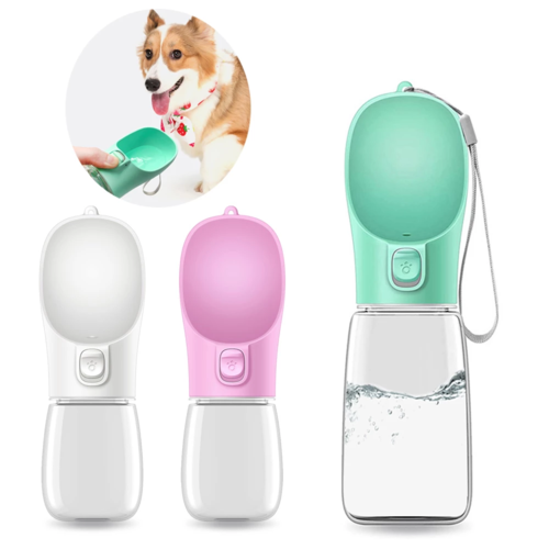 Gourde pour chien